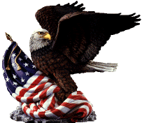 eagle.gif (15822 bytes)